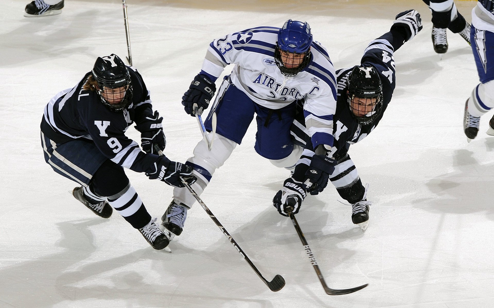 爱游戏网址登录-南非羚羊队：每一场比赛都是他们全面能力的完美体现，非洲羚羊的种类及名称